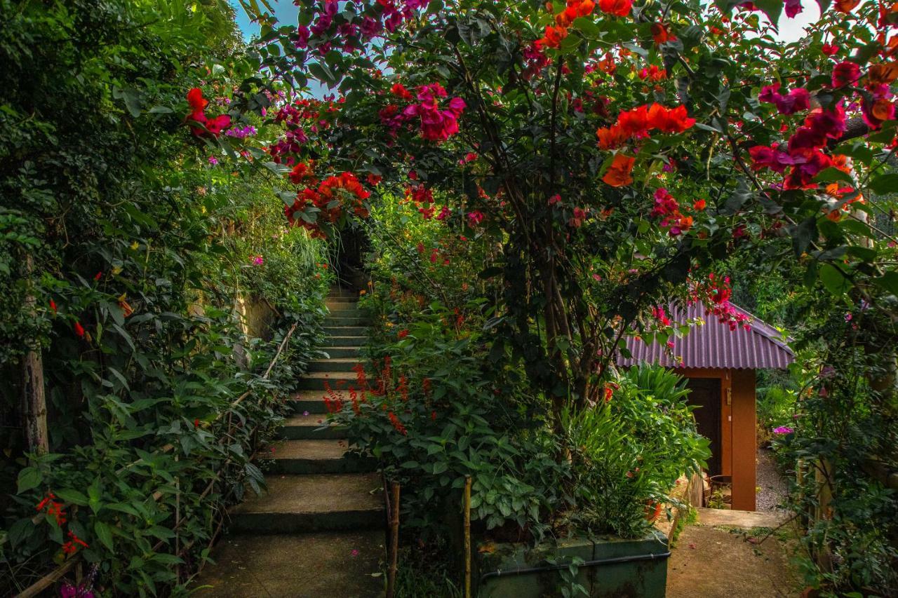 Hotel Ecotones Munnar By Eden Environs Extérieur photo
