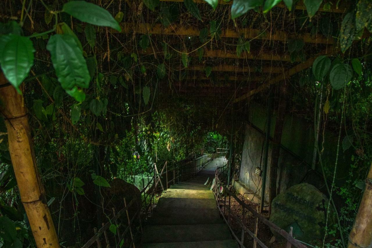 Hotel Ecotones Munnar By Eden Environs Extérieur photo