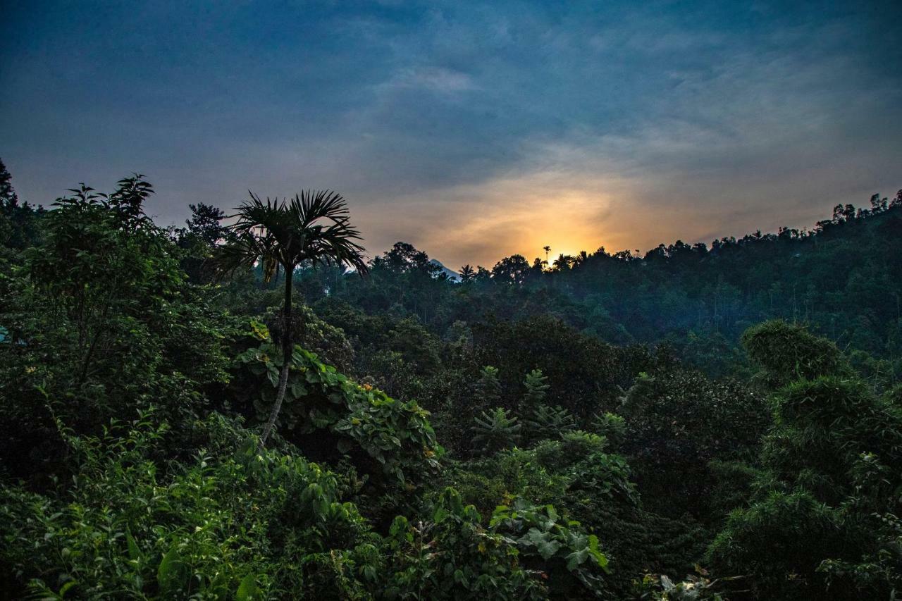 Hotel Ecotones Munnar By Eden Environs Extérieur photo